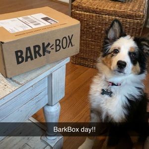 Meet your Posher, Kathleen